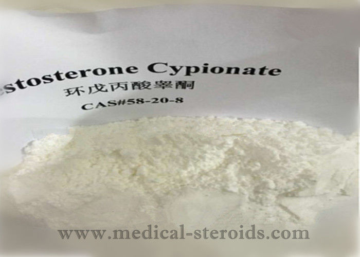 Male Sex Hormone Testosterone Cypionate Test Cyp Powder CAS 58-20-8